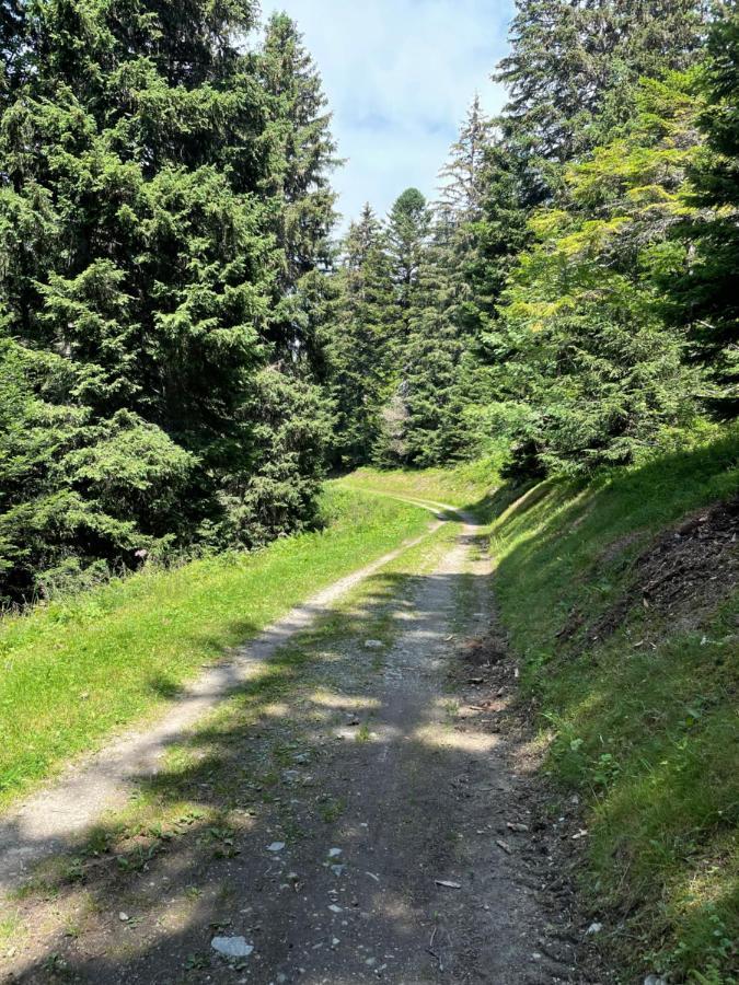 Charmant Appartement Confortable Pour 6 Personnes 40M2 Pied Pistes, Piscine, Wifi, Parking Chamrousse Eksteriør bilde