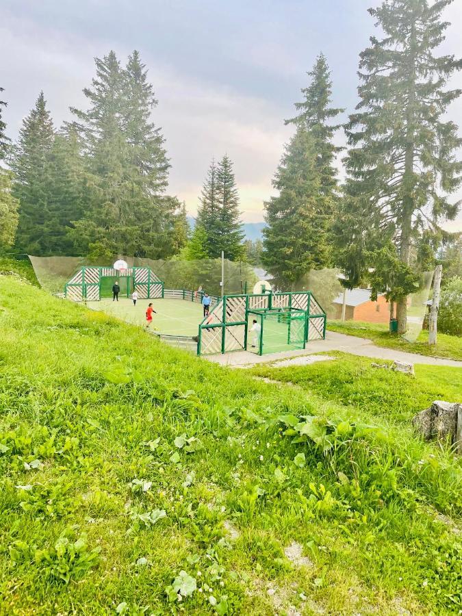Charmant Appartement Confortable Pour 6 Personnes 40M2 Pied Pistes, Piscine, Wifi, Parking Chamrousse Eksteriør bilde